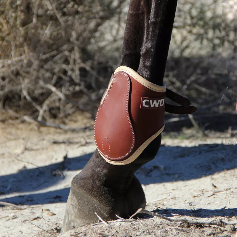 Sport Color buckle open fetlock boots - Image 2